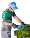 Jardinería